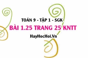Bài 1.25 trang 25 Toán 9 tập 1 Kết nối tri thức SGK